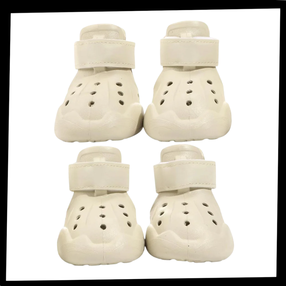 Paw Guard Botlar - Ozerty