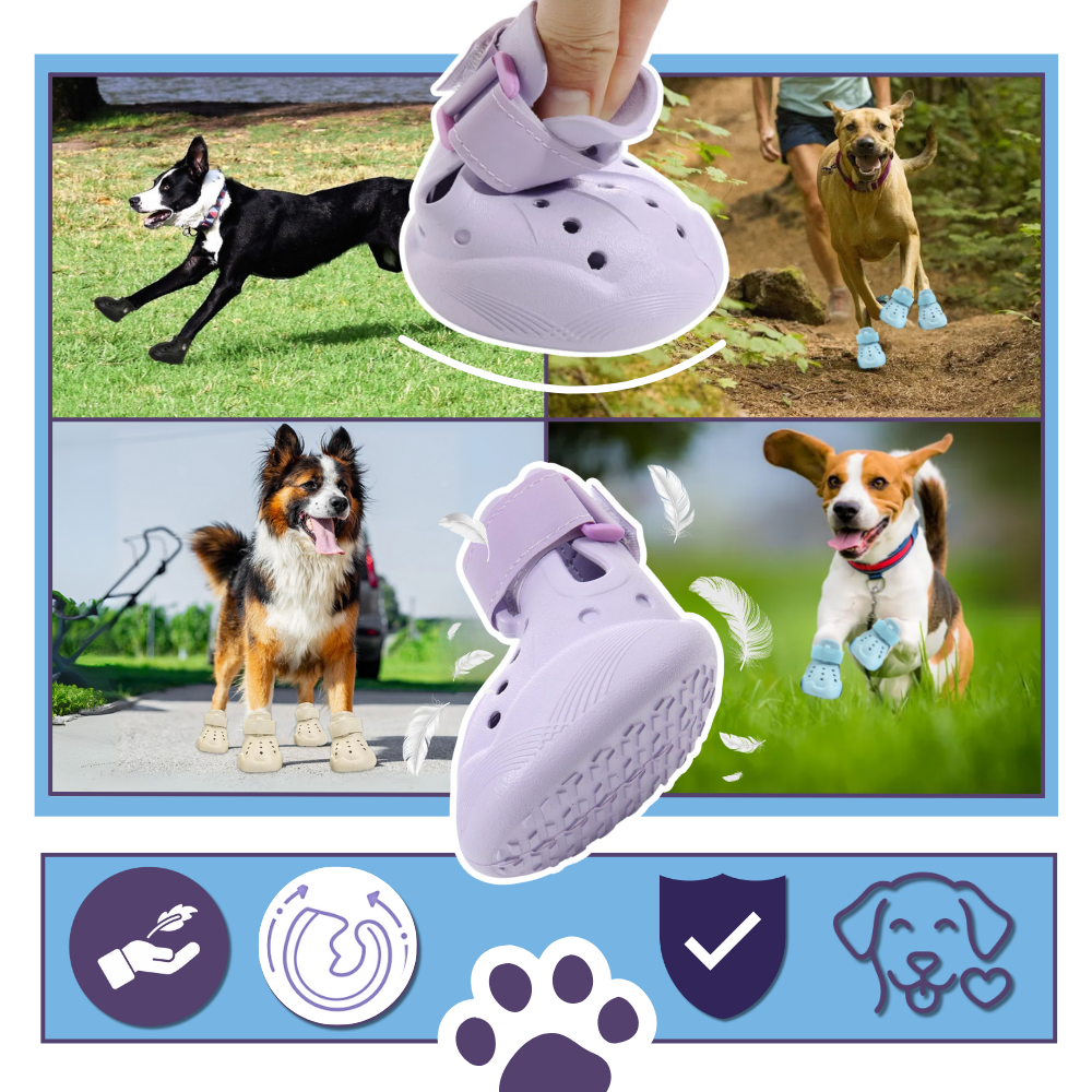 Paw Guard Botlar - Ozerty