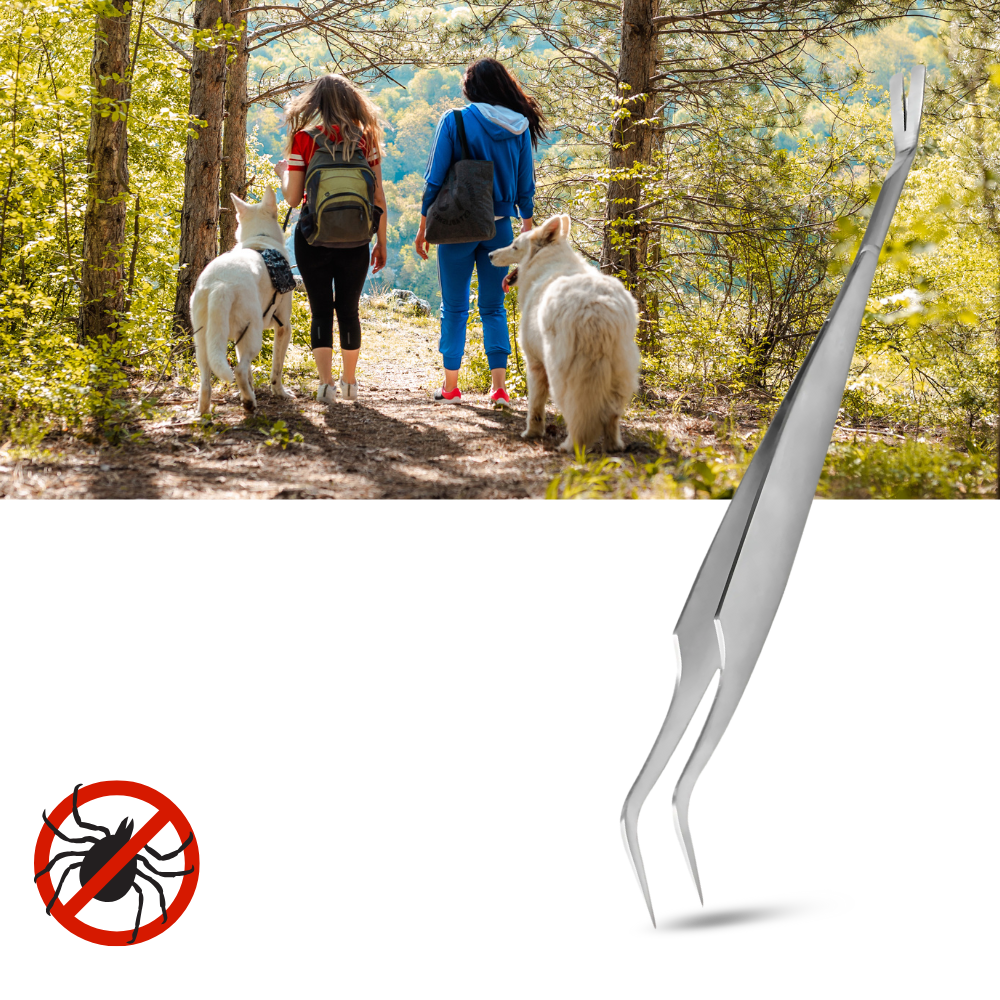 Hassas Kene Çıkarıcı - Ozerty