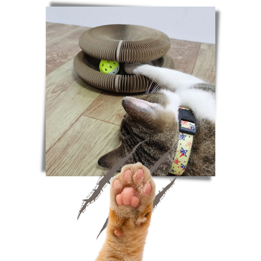Kedi Tırmalama Tahtası - Ozerty