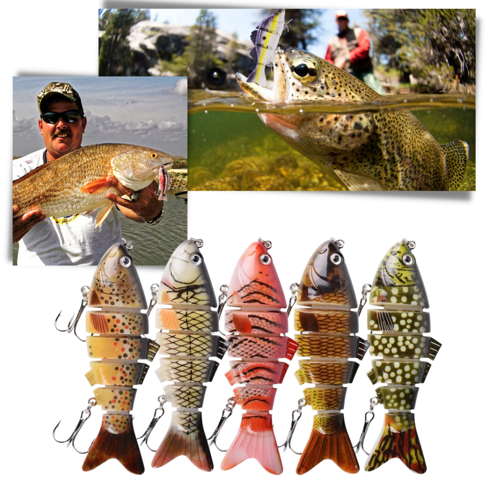 Fish BaitFish BaitBait and Fishing Tackle Fish BaitFish BaitBait and Fishing Tackle