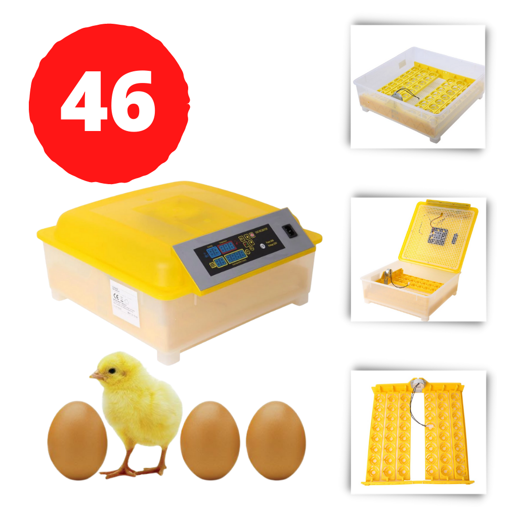 48 yumurta Otomatik Yumurta Kuluçka Makinesi - Ozerty