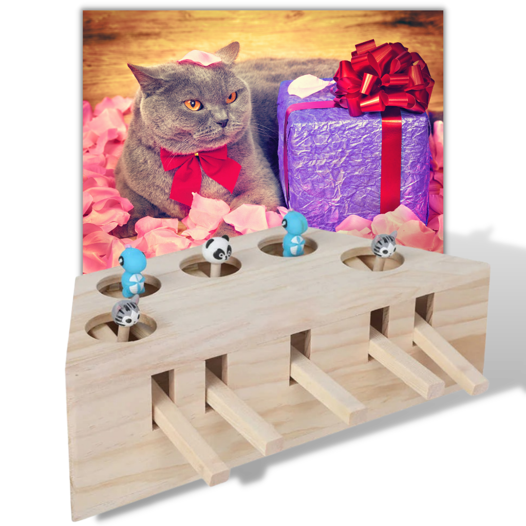 5 Delikli Ahşap İnteraktif Kedi Oyuncağı - Ozerty