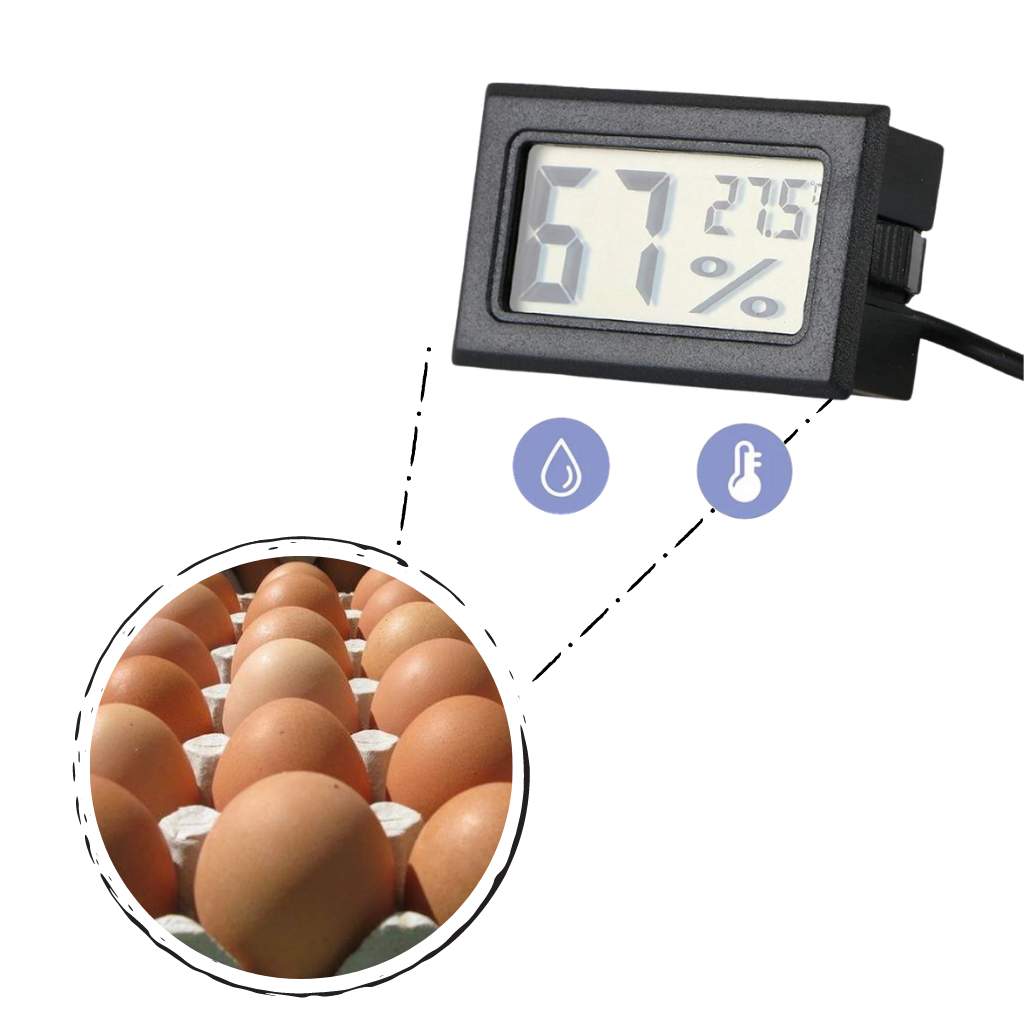 Mini Dijital LCD Higrometre Termometre - Ozerty