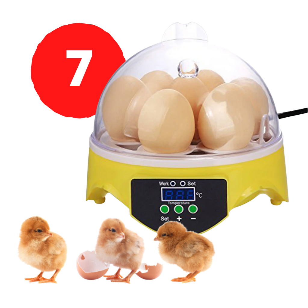 Mini Otomatik Yumurta İnkübatörü - Ozerty