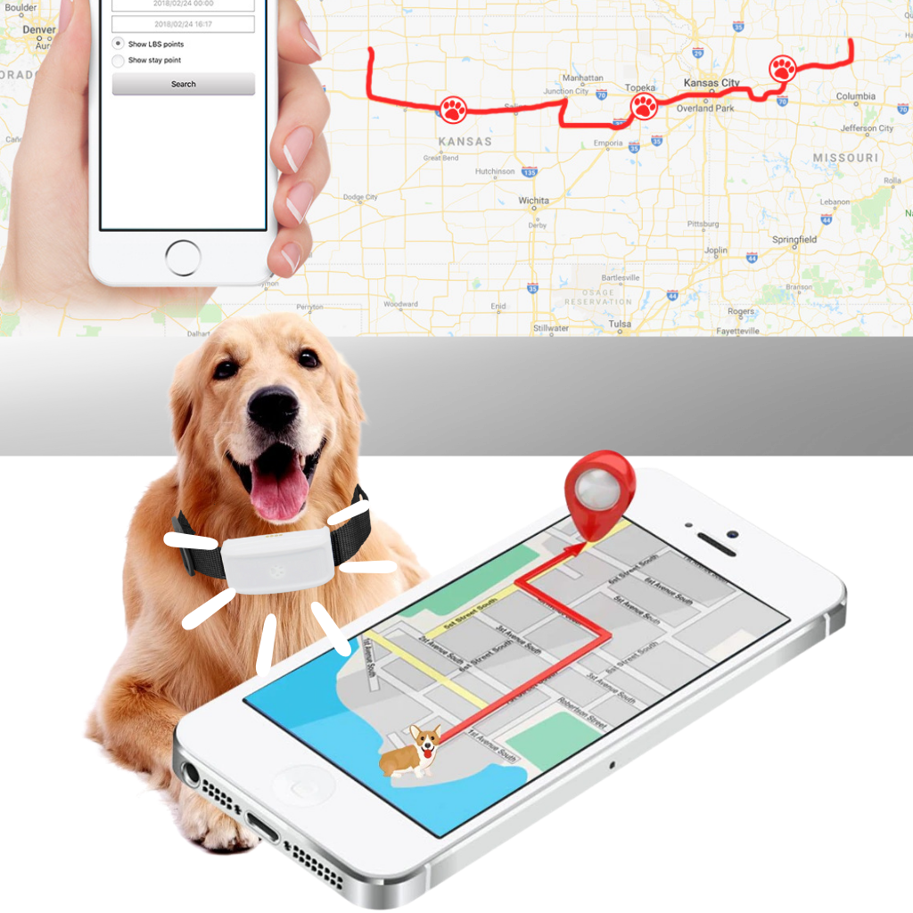 Evcil Hayvan GPS Takip Tasması - Ozerty