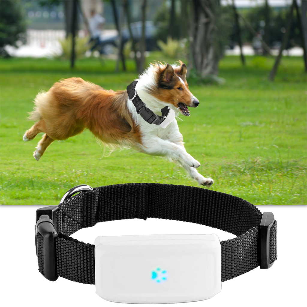 Evcil Hayvan GPS Takip Tasması - Ozerty