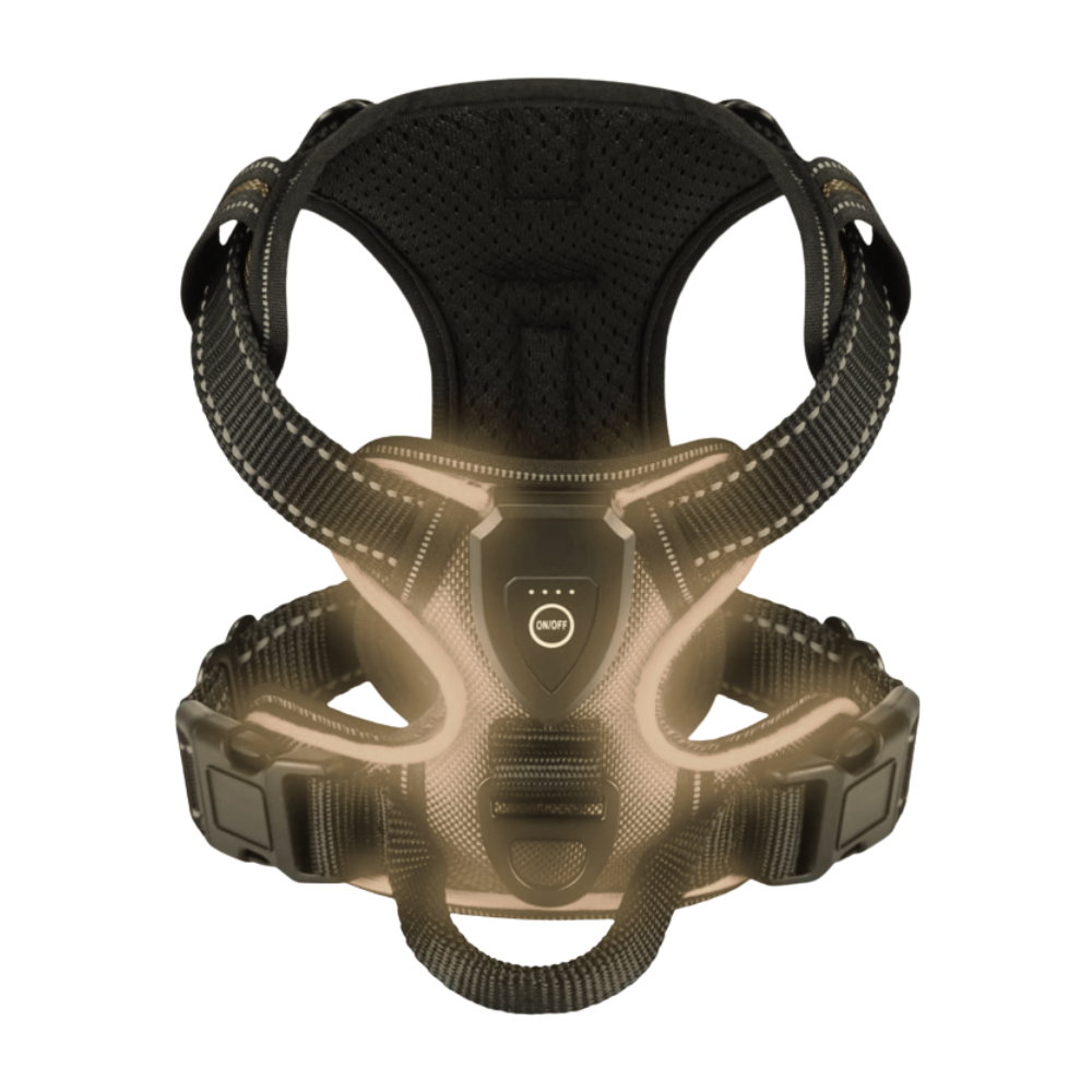 Yanıp Sönen LED Işıklı Köpek Tasması -Siyah - Ozerty