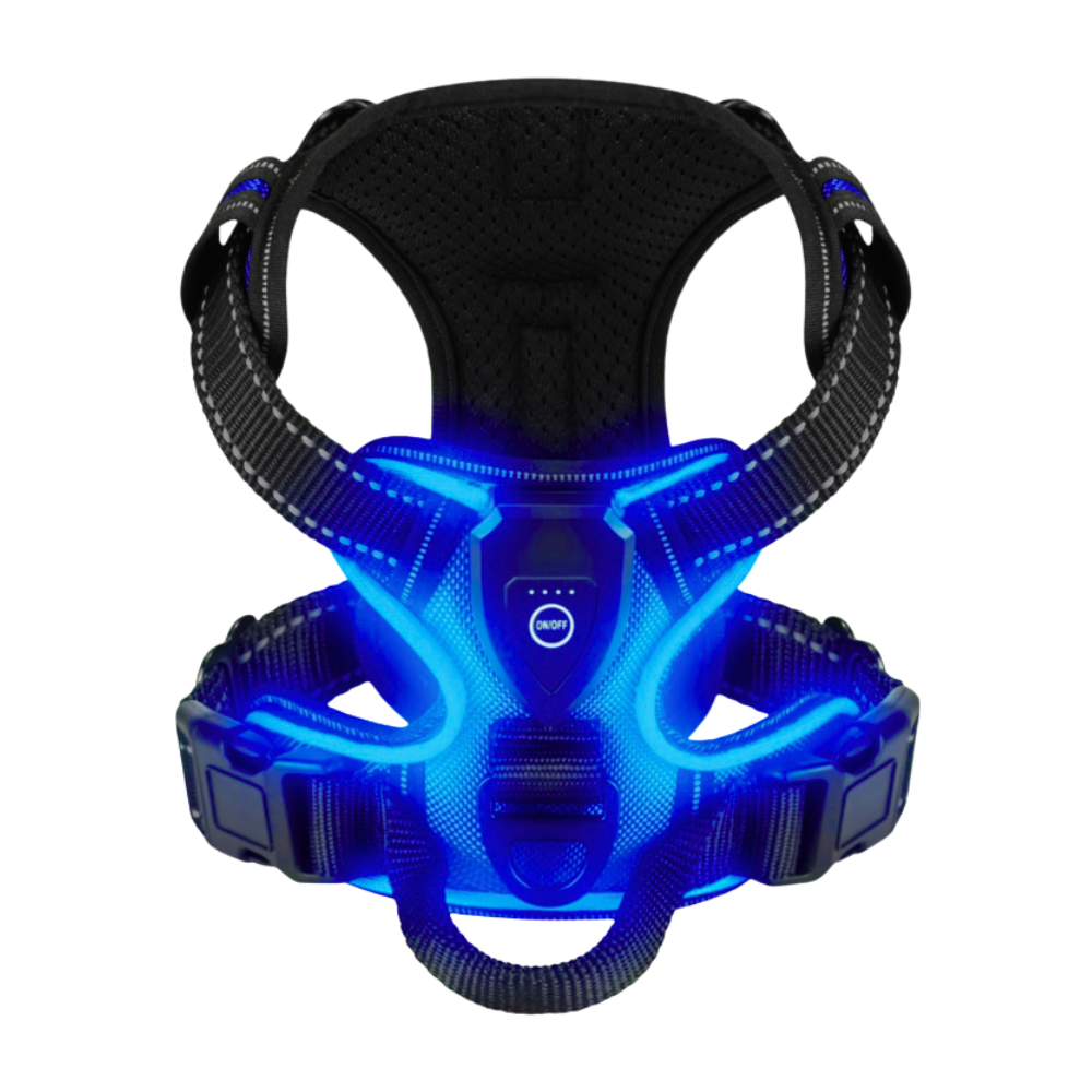 Yanıp Sönen LED Işıklı Köpek Tasması