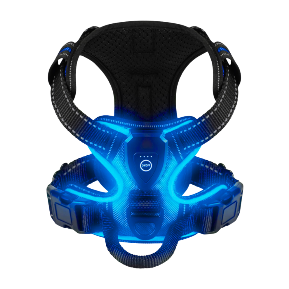 Yanıp Sönen LED Işıklı Köpek Tasması