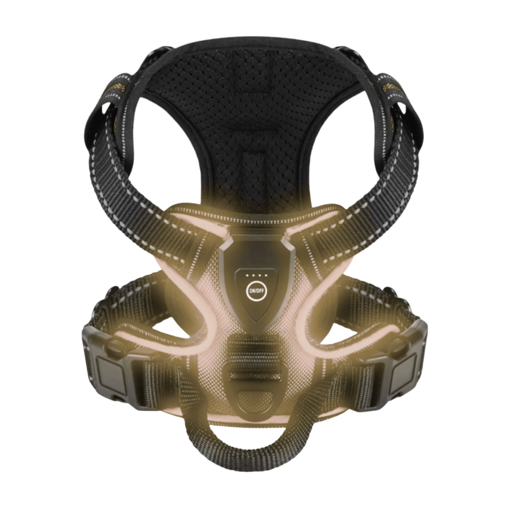 Yanıp Sönen LED Işıklı Köpek Tasması -Arduvaz külü - Ozerty