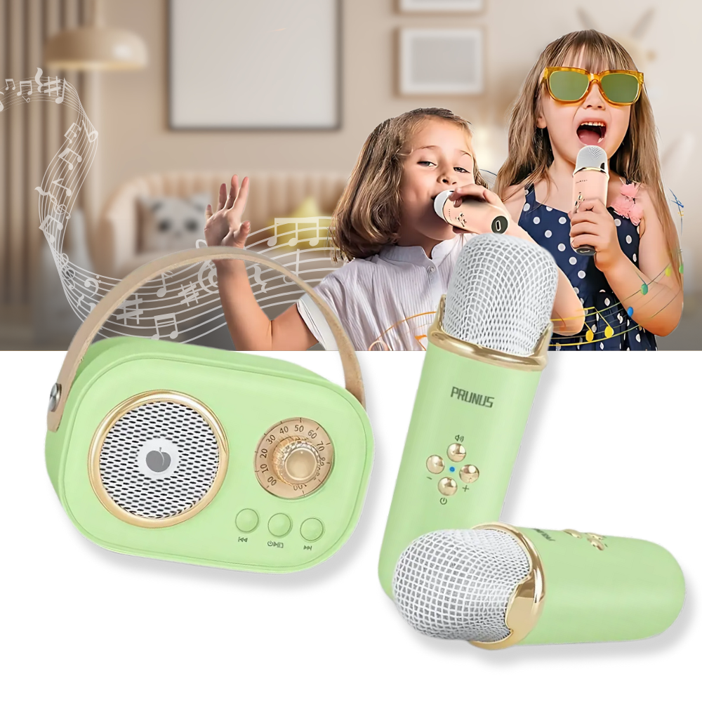 Bluetooth Çift Mikrofonlu Çocuk Mini Karaoke - Ozerty