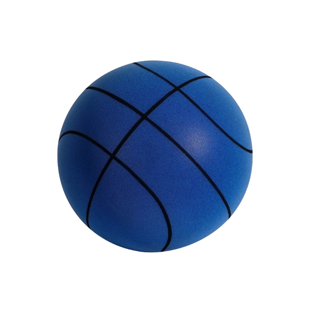 Renk Eğlencesi Sessiz Basketbol -Mavi - Ozerty