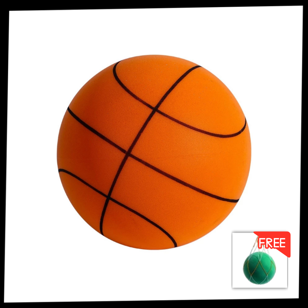 Renk Eğlencesi Sessiz Basketbol - Ozerty