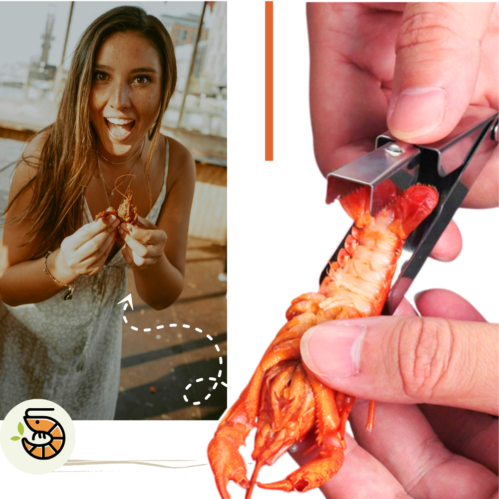 Crawfish QuickShell Aracı - Ozerty