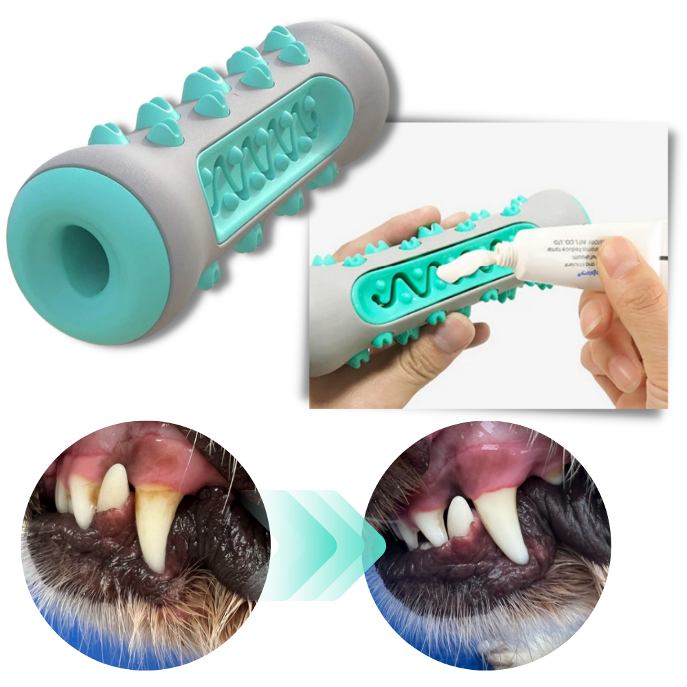 Köpekler için Diş Bakım Çiğneme Oyuncağı - Ozerty