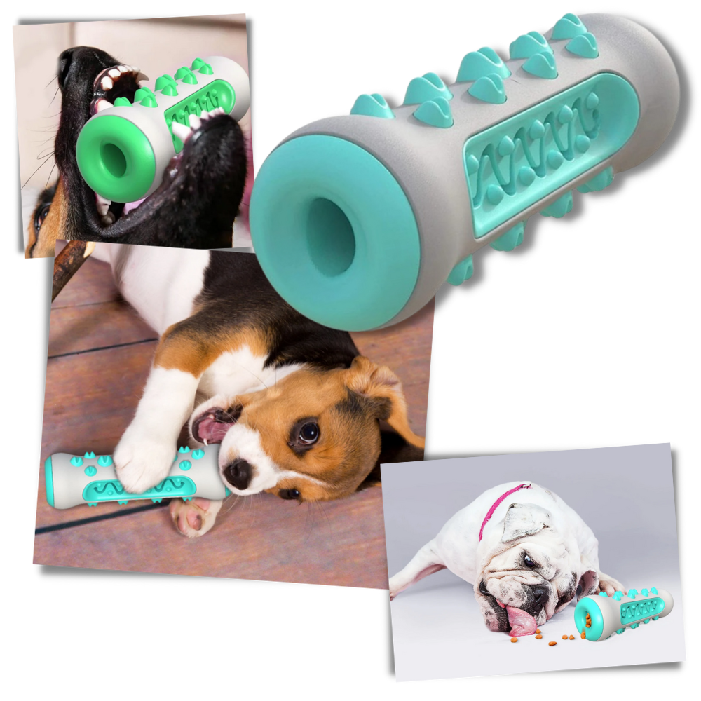 Köpekler için Diş Bakım Çiğneme Oyuncağı - Ozerty