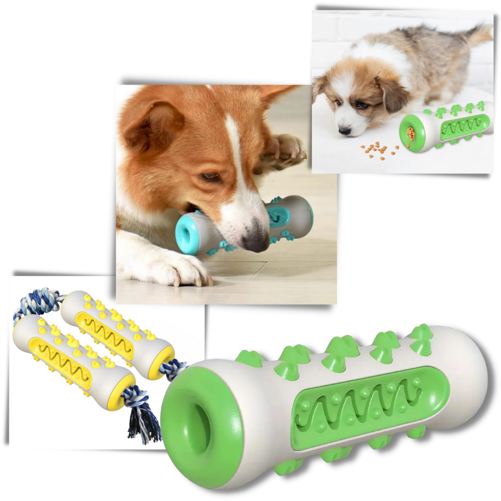 Köpekler için Diş Bakım Çiğneme Oyuncağı - Ozerty