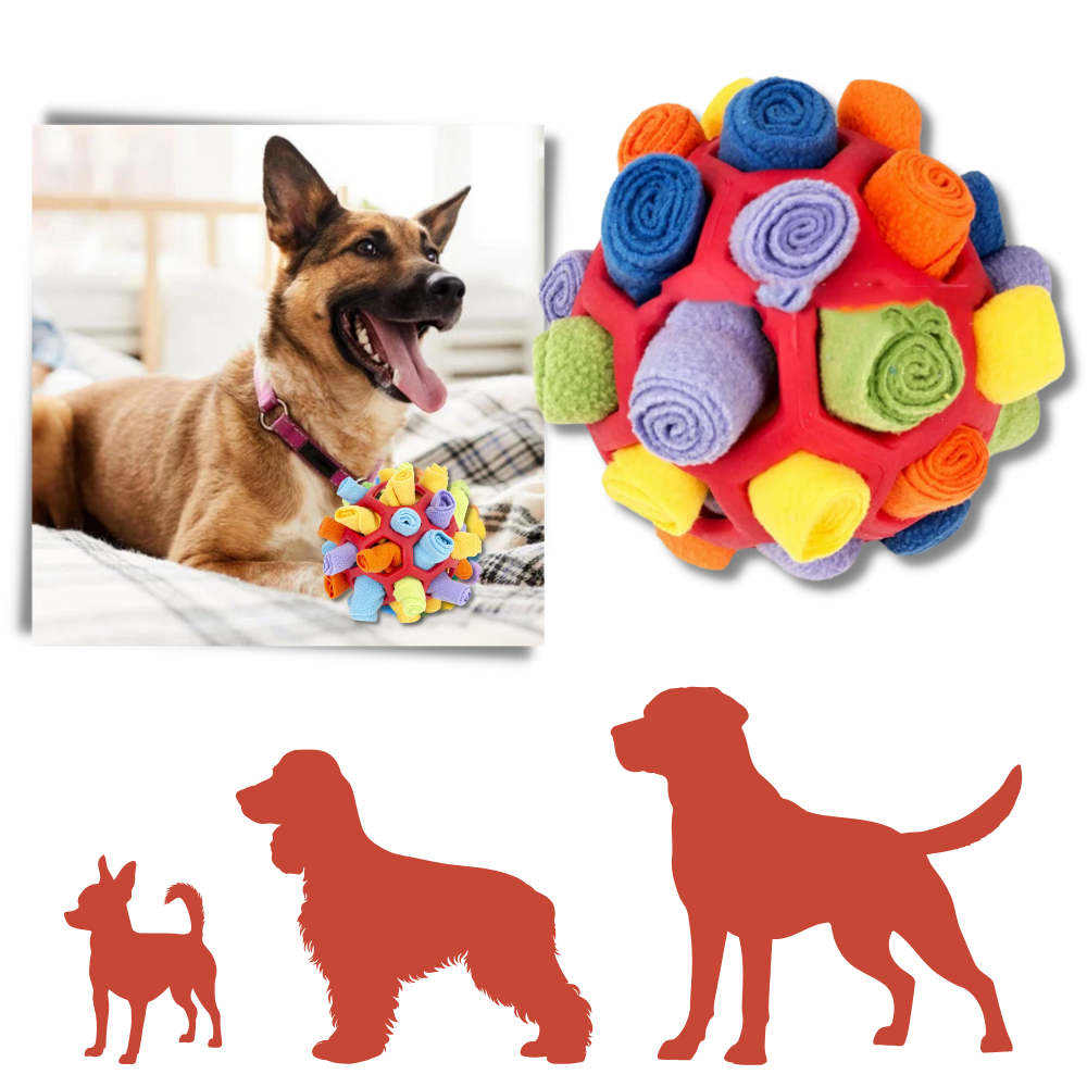Zihinsel Uyarıcı Snuffle Topu - Ozerty
