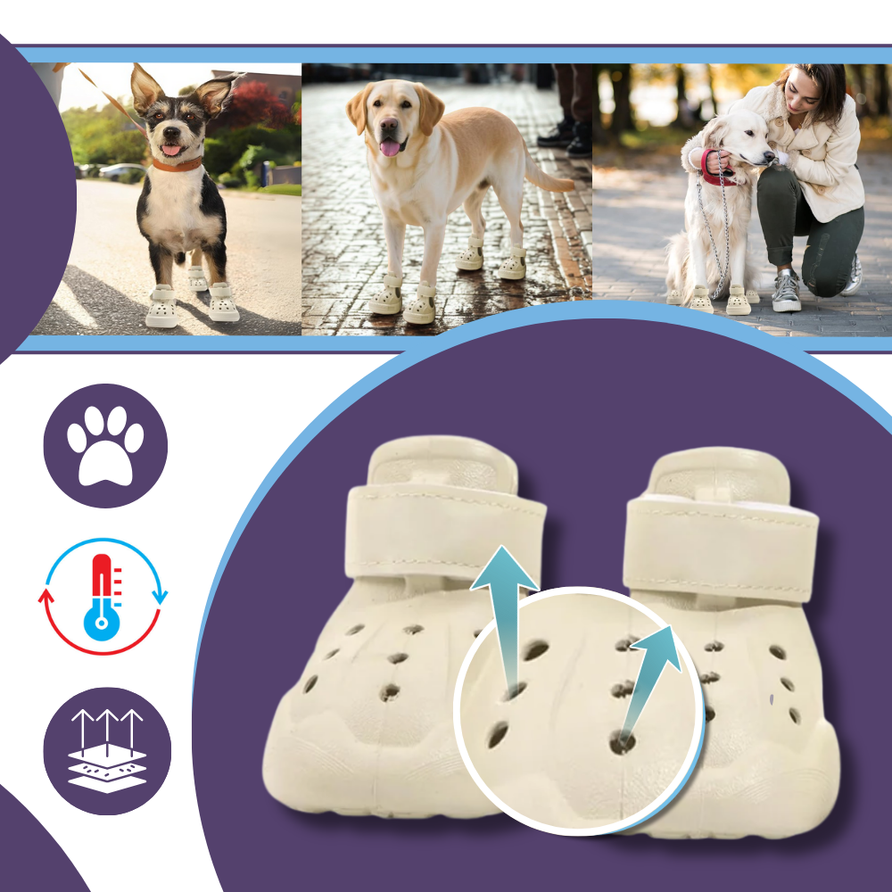 Paw Guard Botlar - Ozerty