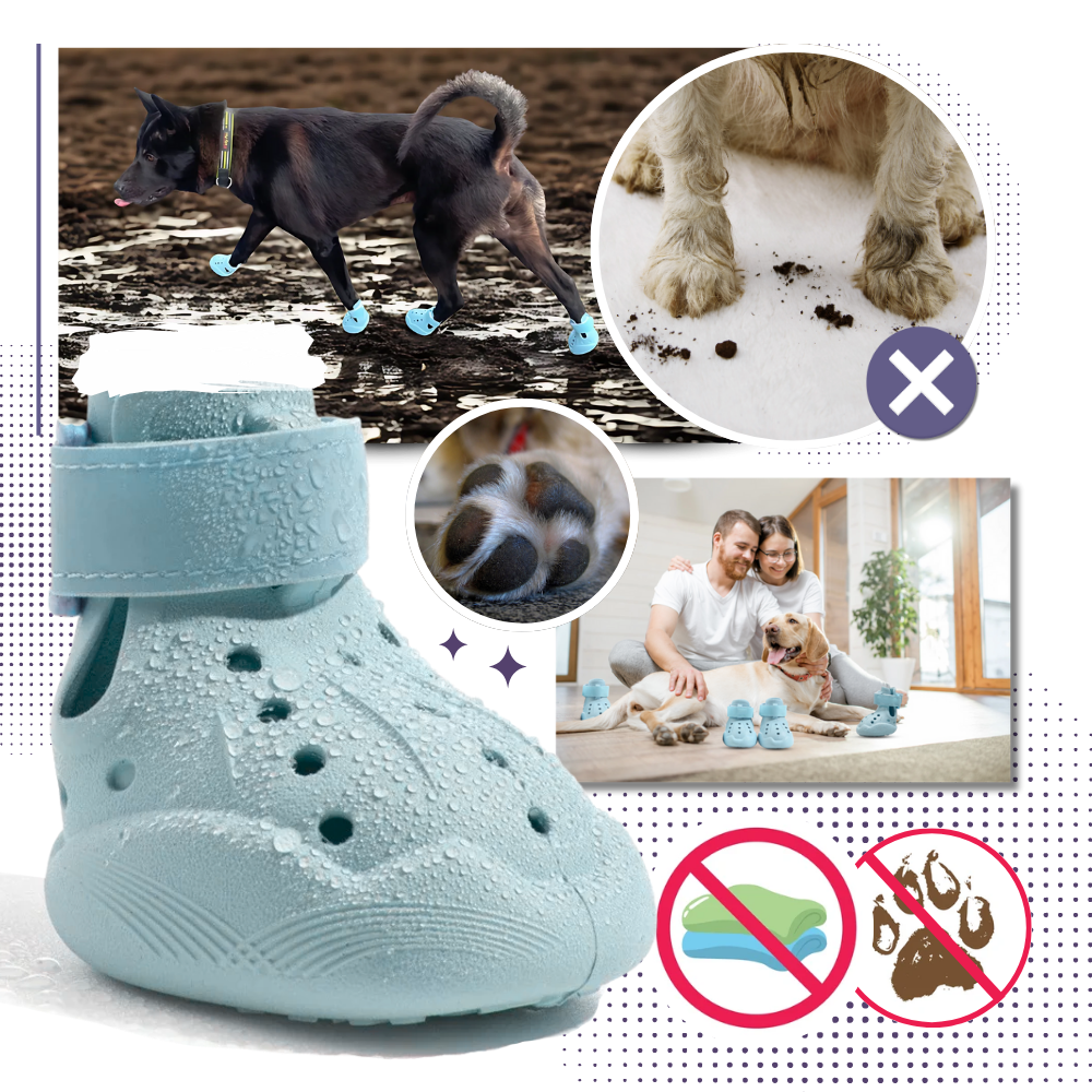 Paw Guard Botlar - Ozerty