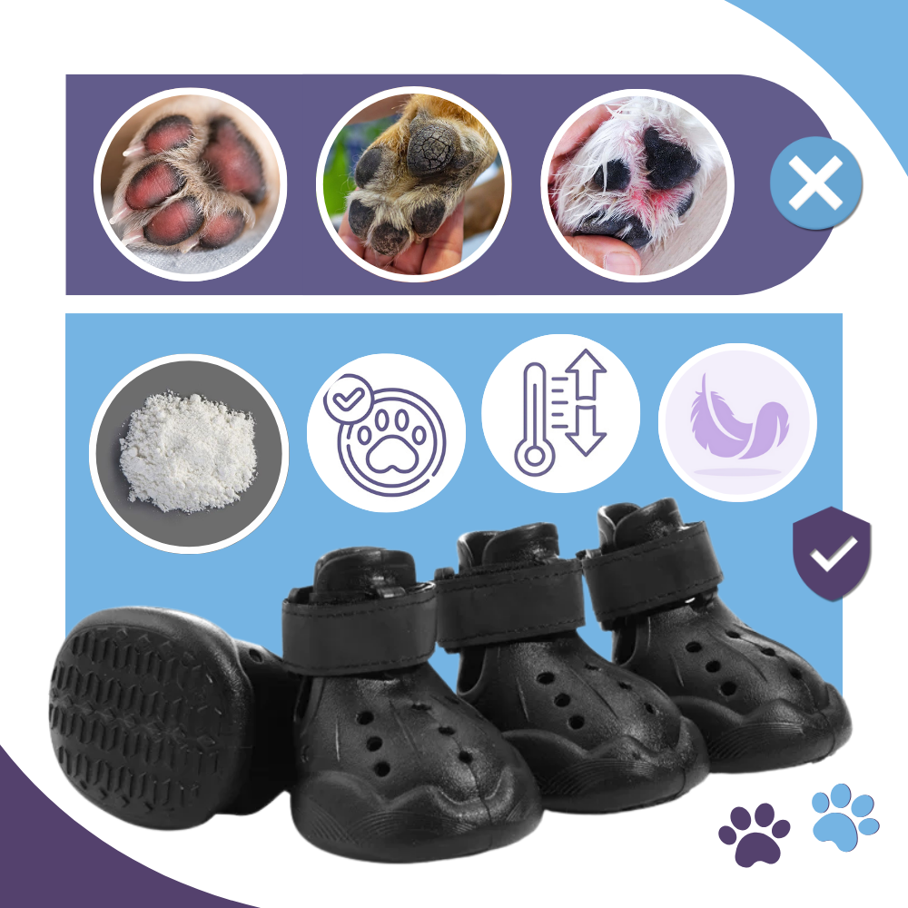 Paw Guard Botlar - Ozerty