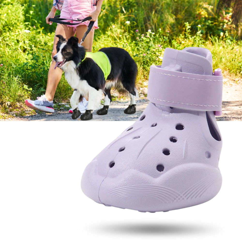 Paw Guard Botlar - Ozerty