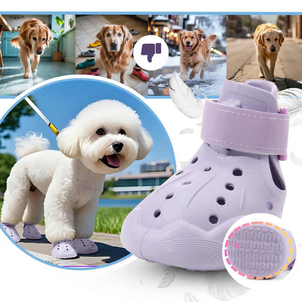 Paw Guard Botlar - Ozerty
