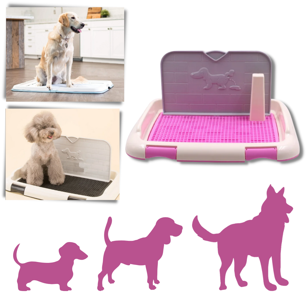 Sıçramaya Dayanıklı Köpek Çiş Pedleri - Ozerty